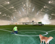 HGR indoor lacrosse field man kneeling with dog watching