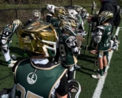 HGR 20th Anniversary Gold helmets