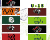 hgr league standings